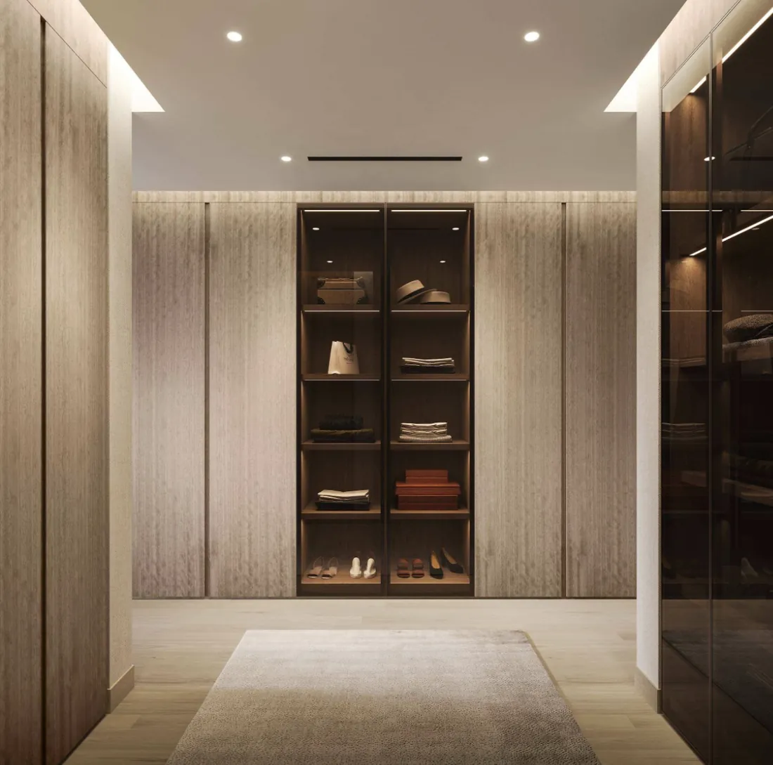 Walk-in dressing room in the dark scheme